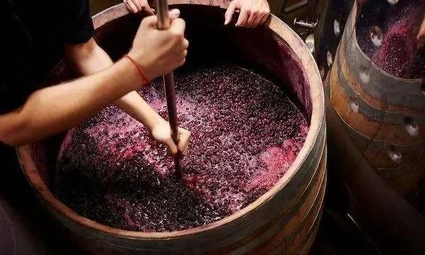 葡萄酒制作步骤详解：葡萄甘蔗变美酒，提升食物值与水分